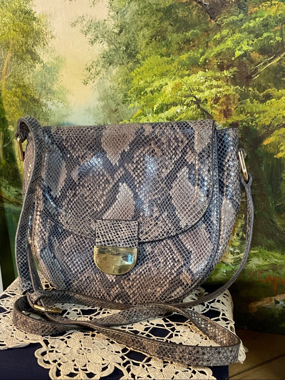 G.I.L.I. Snake-Embossed Crossbody Bag in Gray and Brown with Gold Hardware